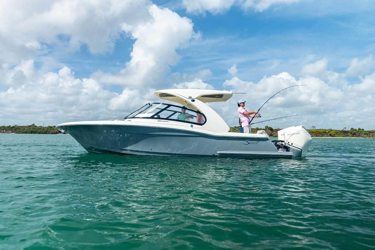 scout 288 dorado fishing