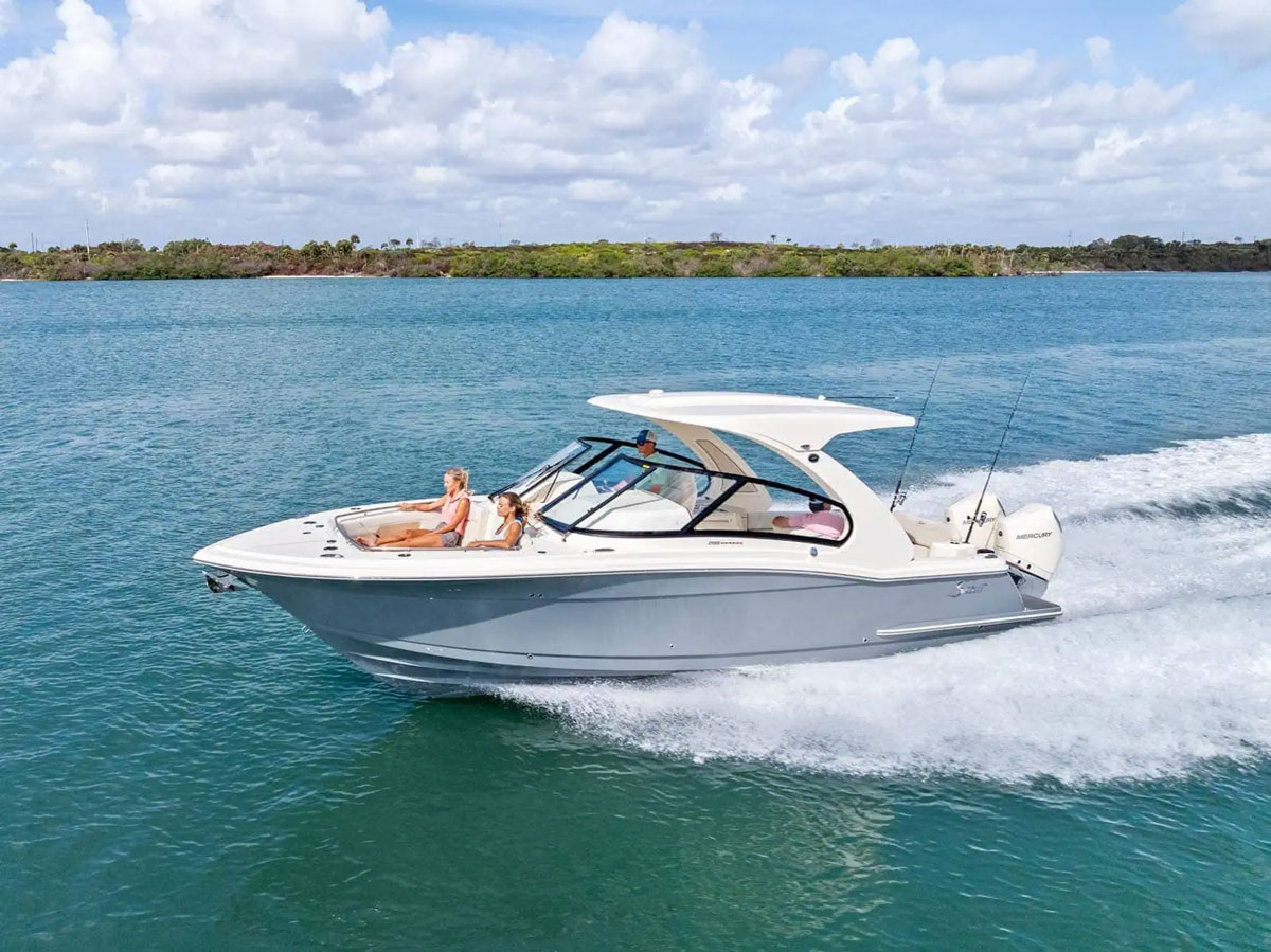 scout 288 dorado